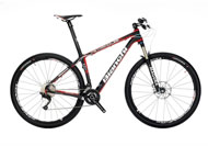Bianchi Methanol 29.4 SL XT